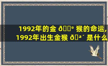 1992年的金 💮 猴的命运,1992年出生金猴 🪴 是什么意思